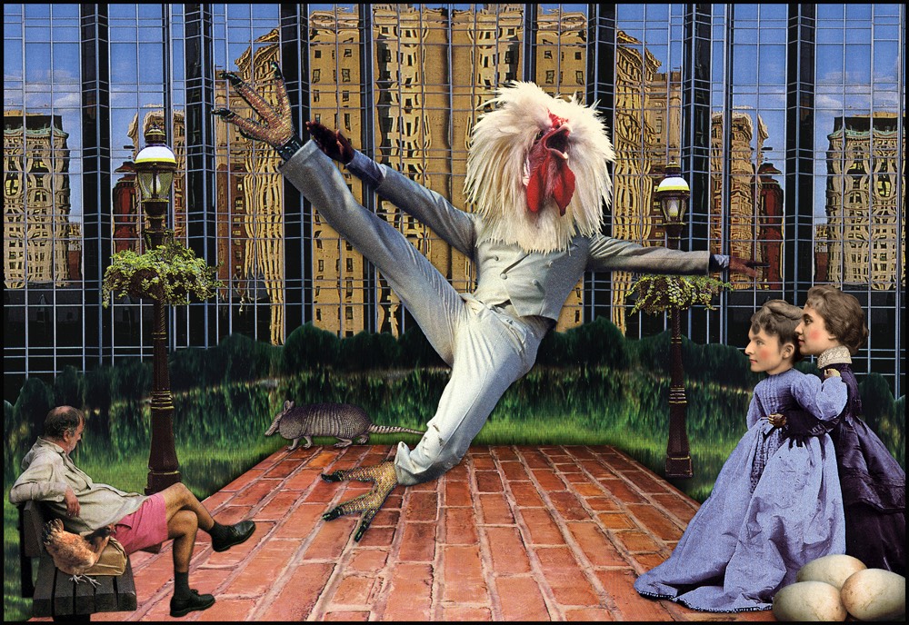 Dancing Chicken WS.jpg