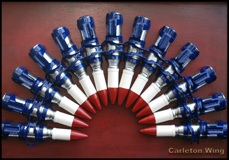 False Bunting, front detail