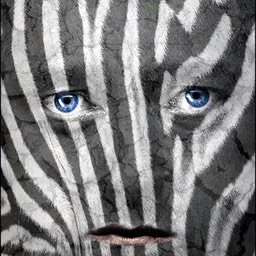 Zebra Man