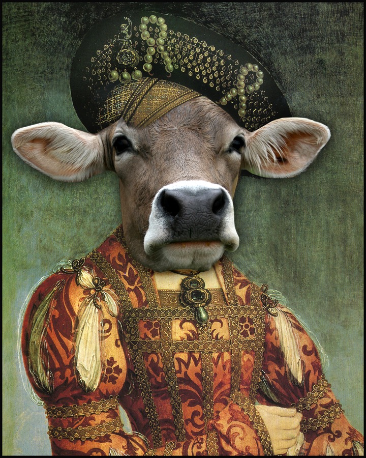 Cow portrait 3 WS.jpg